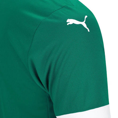Palmeiras 25/26 I Home Camisa - Versão Torcedor