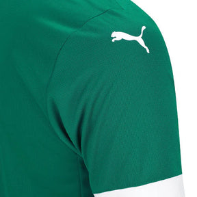 Palmeiras 25/26 I Home Jersey - Fan Version