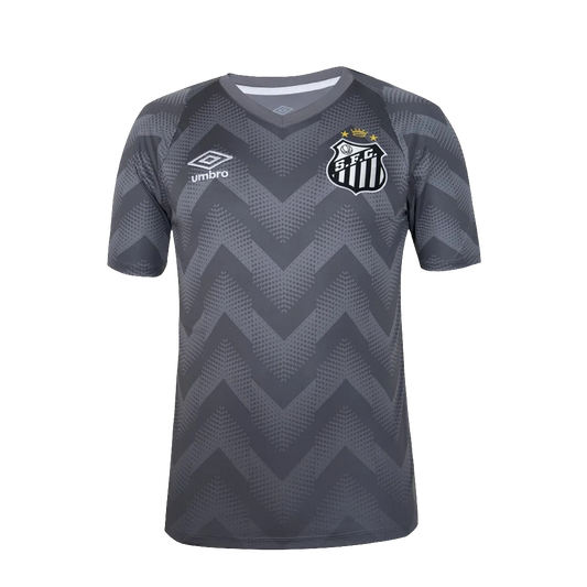 Santos 24/25 Camisa de Goleiro - Gray - Versão Torcedor