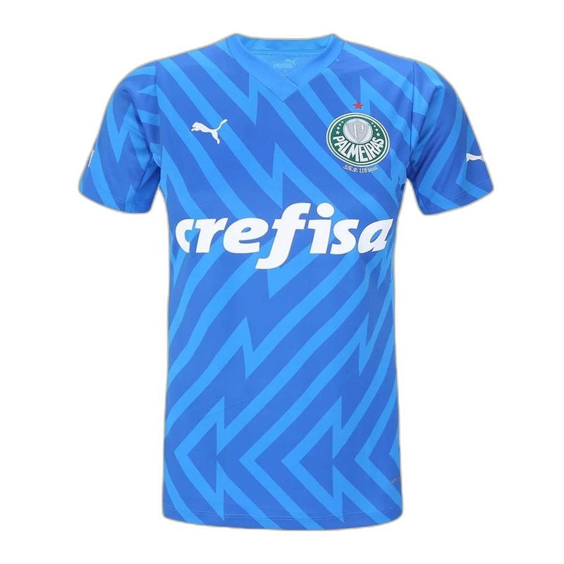 Palmeiras 24/25 Camisa de Goleiro - Feminina's