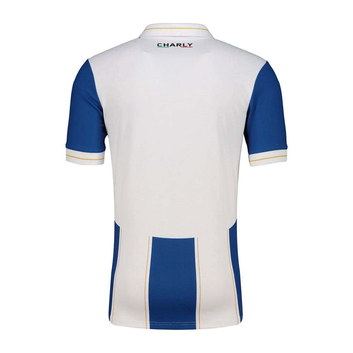 Pachuca 25/26 I Home Jersey - Fan Version