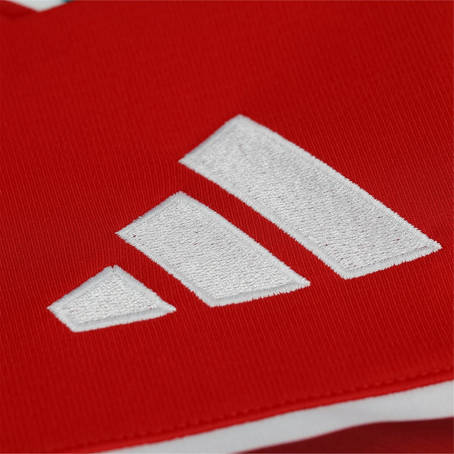 Wales 2026 I Home Camisa - Versão Torcedor