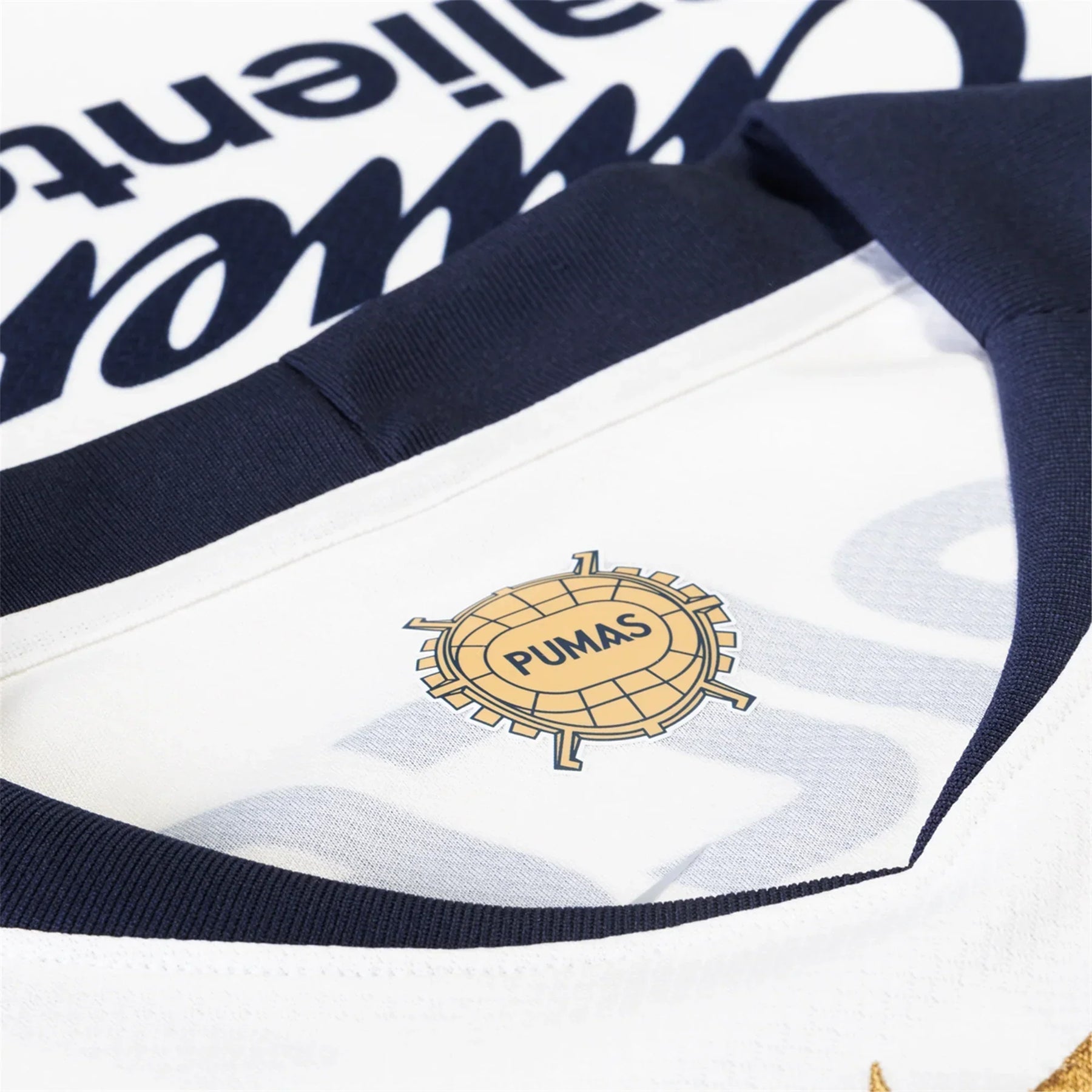 Pumas UNAM 25/26 I Home Jersey - Fan Version